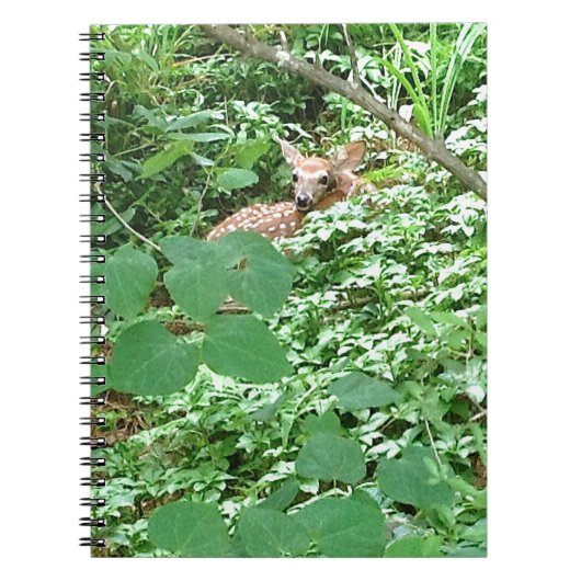 Carnet FAWN en Feuilles de coeur vert — (Devant)