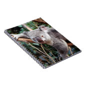Carnet Featherdale Wildlife Park, Koala Bears (Côté Droit)