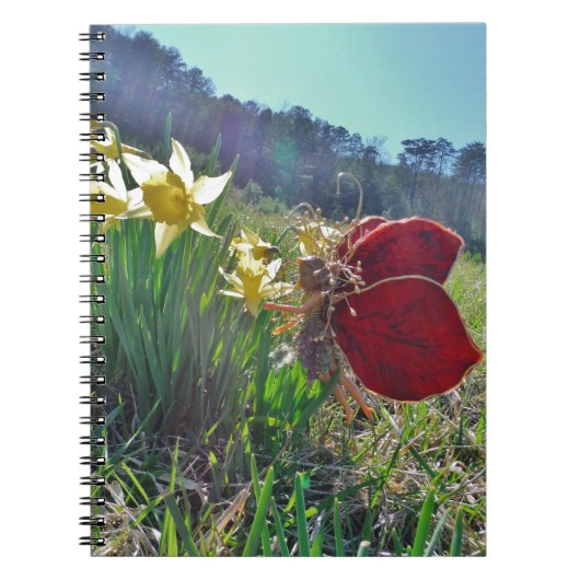 Carnet fée à aile rouge et jonquilles (Devant)