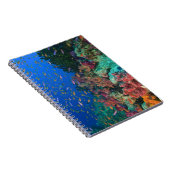 Carnet Fées basslets banc (Pseudanthias (Côté Droit)