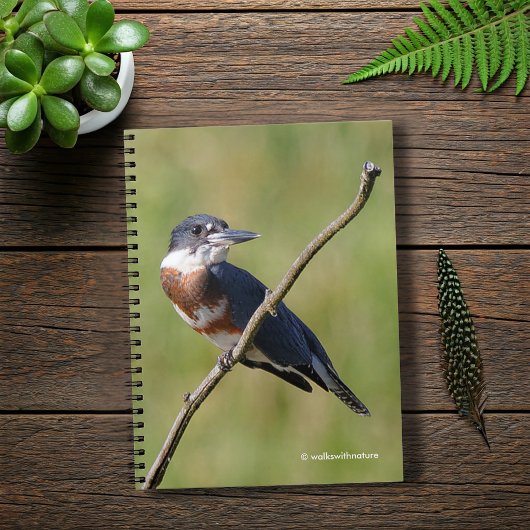 Carnet Femme Belted Kingfisher dehors sur un membre