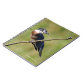 Carnet Femme Belted Kingfisher dehors sur un membre (Côté gauche)