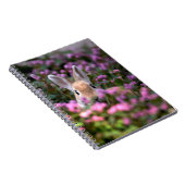 Carnet Ferme de lapins (Côté Droit)