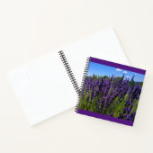 Carnet Ferme de Lavender (Intérieur)