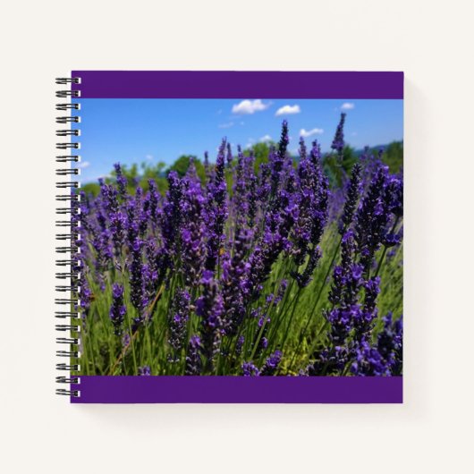 Carnet Ferme de Lavender (Devant)