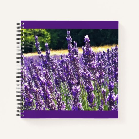Carnet Ferme de Lavender (Devant)