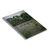 Carnet Ferme de Lavender (Côté Droit)