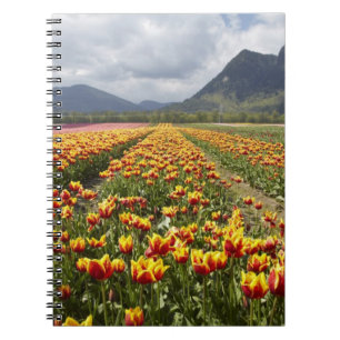 Carnet Ferme de tulipes près d'Agassiz, Colombie-Britanni