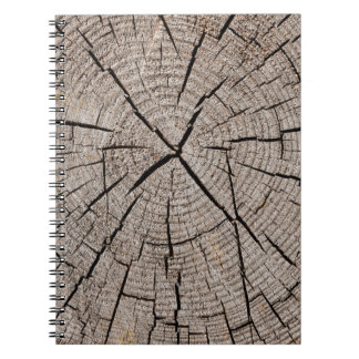 Carnet Fermer la texture arrière - plan grise de vieux pa