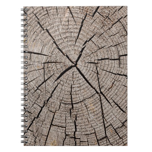 Carnet Fermer la texture arrière - plan grise de vieux pa (Devant)