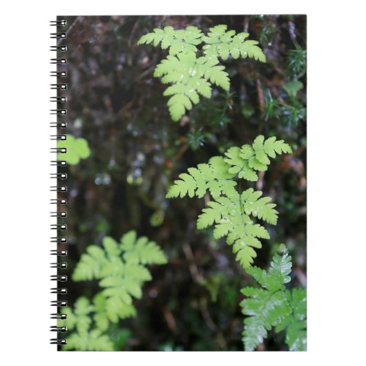 Carnet Fermes - (Devant)