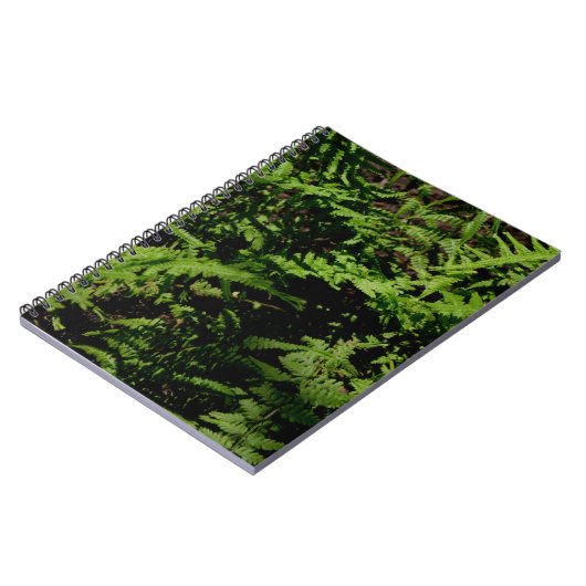 Carnet Fermes botaniques vertes (Côté gauche)