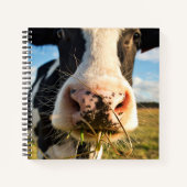 Carnet Fermes | Vache Holstein Chewing (Devant)