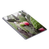 Carnet Fermeture Des Cactus De Pires (Côté Droit)