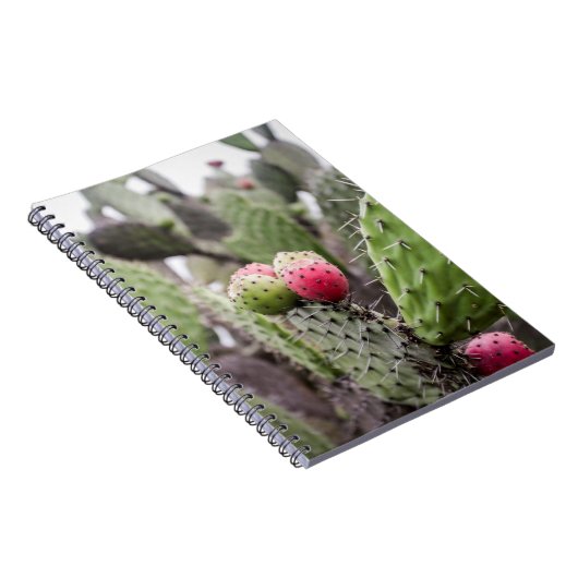 Carnet Fermeture Des Cactus De Pires (Côté Droit)