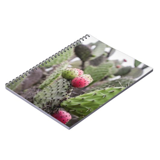 Carnet Fermeture Des Cactus De Pires (Côté gauche)