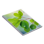 Carnet Fermeture des feuilles Calme Tranquille saison nat (Côté Droit)