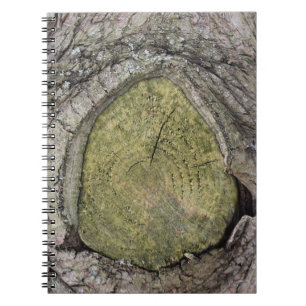 Carnet Fermeture du talon de branche de l'arbre