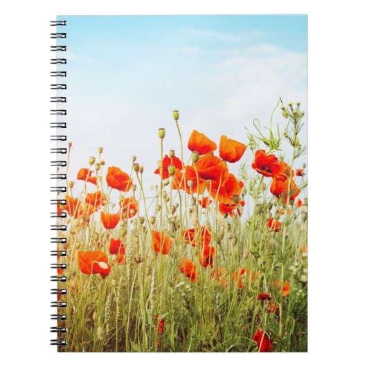 Carnet Fermez les pavots sur le terrain. Fleurs sauvages  (Devant)