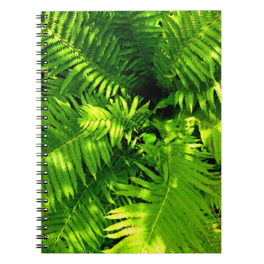 Carnet Fern (Devant)