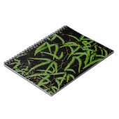Carnet Fern (Côté gauche)