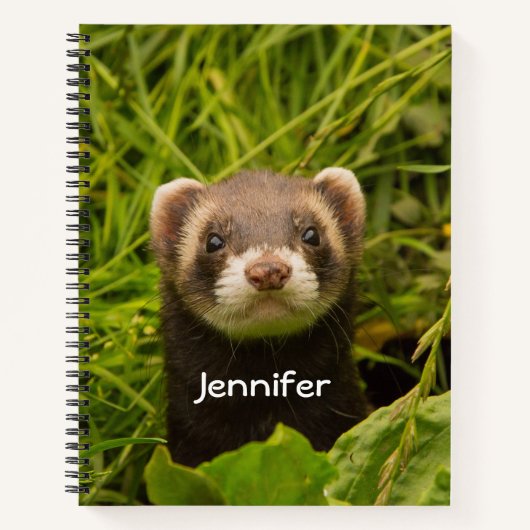 Carnet Ferret Brown dans l'herbe (Devant)