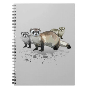 Carnet Ferrets