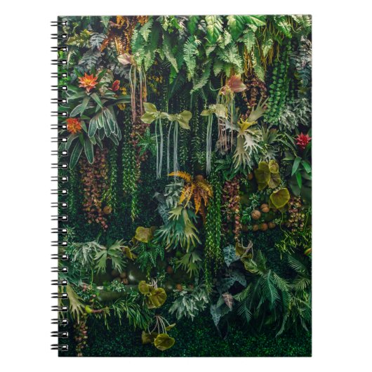 Carnet ferronnerie et plante décorent sur mur (Devant)