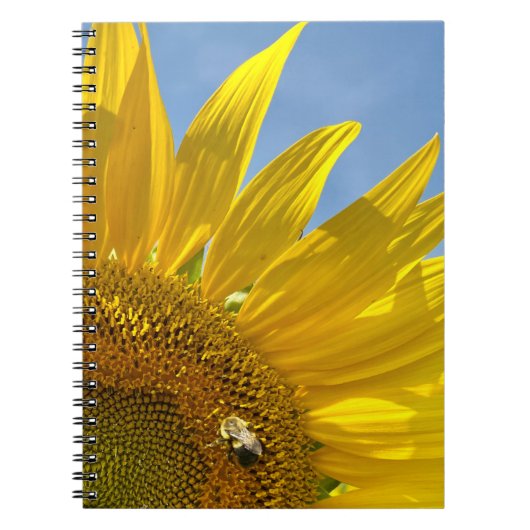 Carnet Festival des tournesols (Devant)