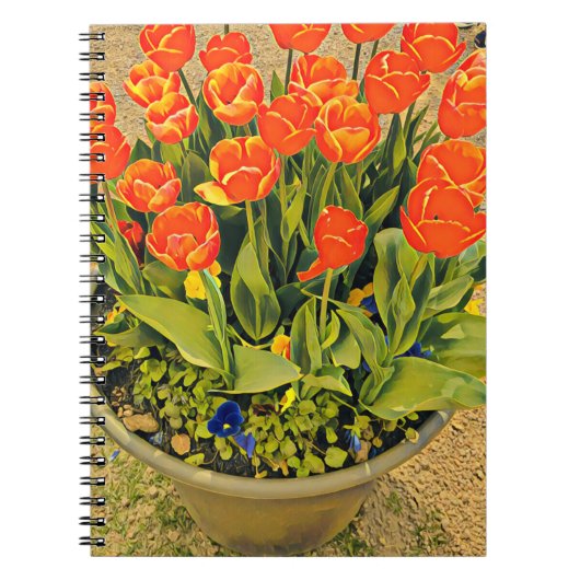 Carnet Festival floral moderne des tulipes (Devant)