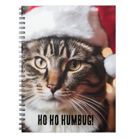 Carnet Festive Tabby (Devant)