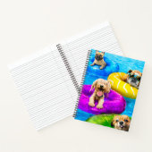 Carnet Fête au bassin pour chiens (Intérieur)
