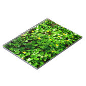 Carnet feuillage vert (Côté gauche)