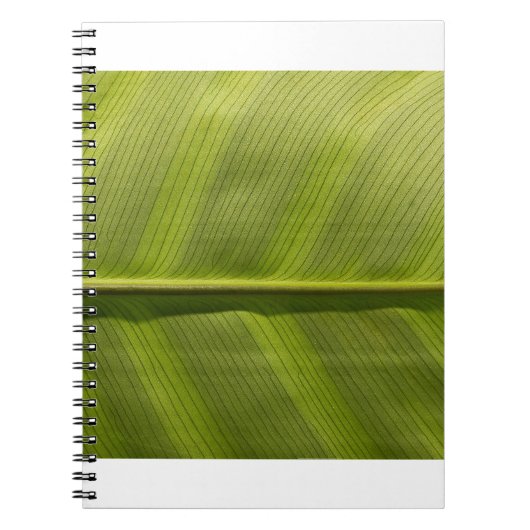 Carnet feuille (Devant)