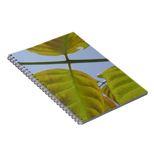 Carnet feuille (Côté Droit)