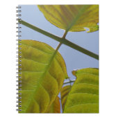 Carnet feuille (Devant)
