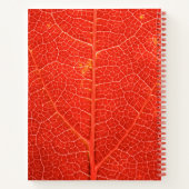 Carnet Feuille automnale (Dos)