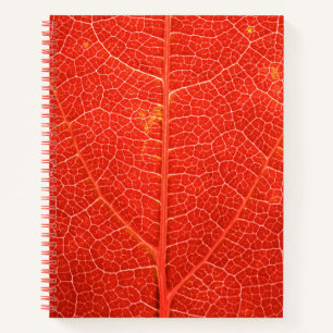 Carnet Feuille automnale