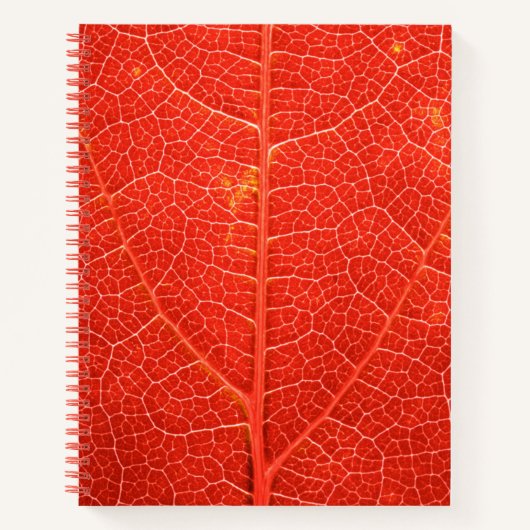 Carnet Feuille automnale (Devant)