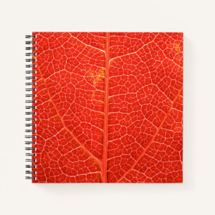 Carnet Feuille automnale