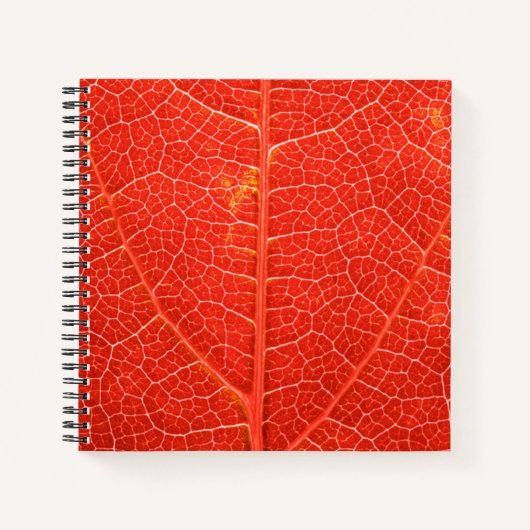 Carnet Feuille automnale (Devant)