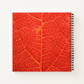 Carnet Feuille automnale (Dos)
