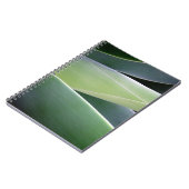 Carnet Feuille d'agave (Côté gauche)