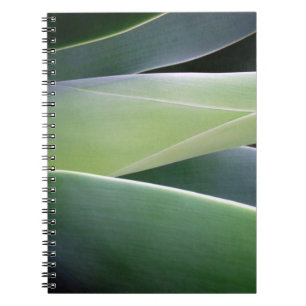 Carnet Feuille d'agave