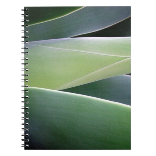 Carnet Feuille d'agave (Devant)