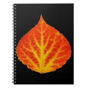 Carnet Feuille d'Aspen rouge et jaune #10
