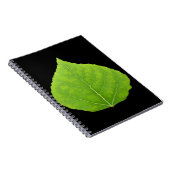Carnet Feuille d'Aspen vert #11 (Côté Droit)