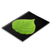 Carnet Feuille d'Aspen vert #11 (Côté gauche)