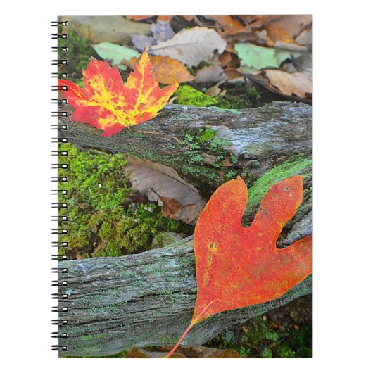 Carnet feuille d'automne (Devant)