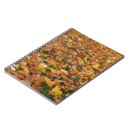 Carnet Feuille d'automne (Côté gauche)